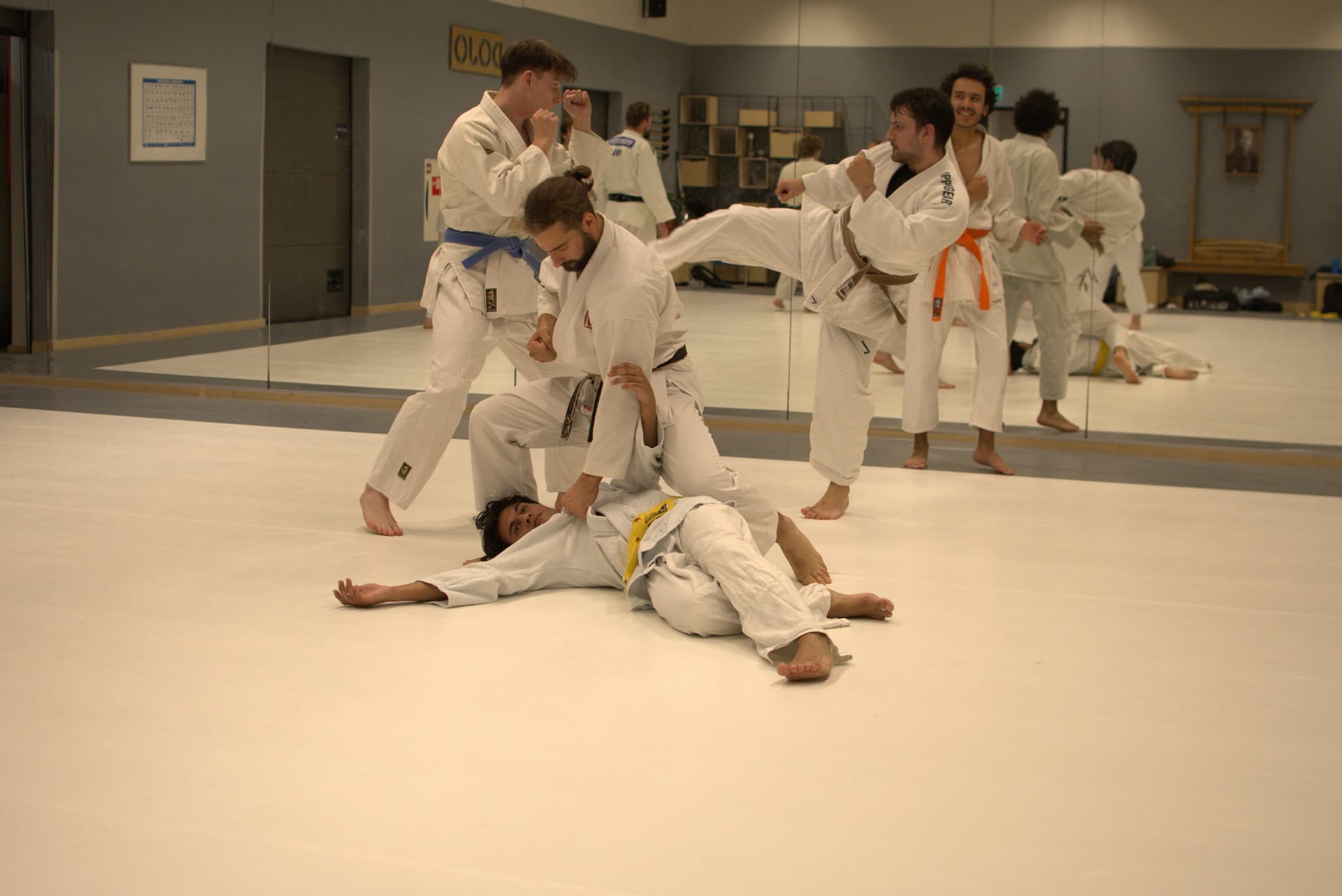 Jiu Jitsu class