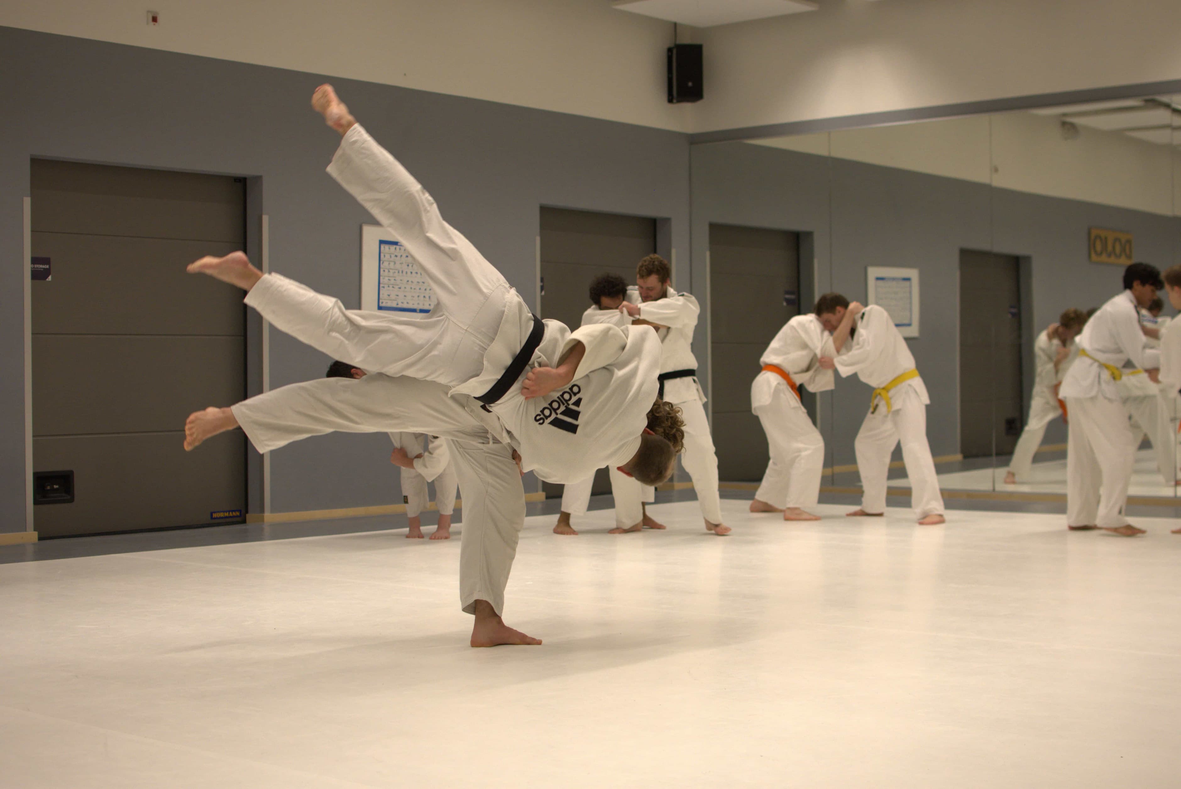 Yoroshi members practising judo