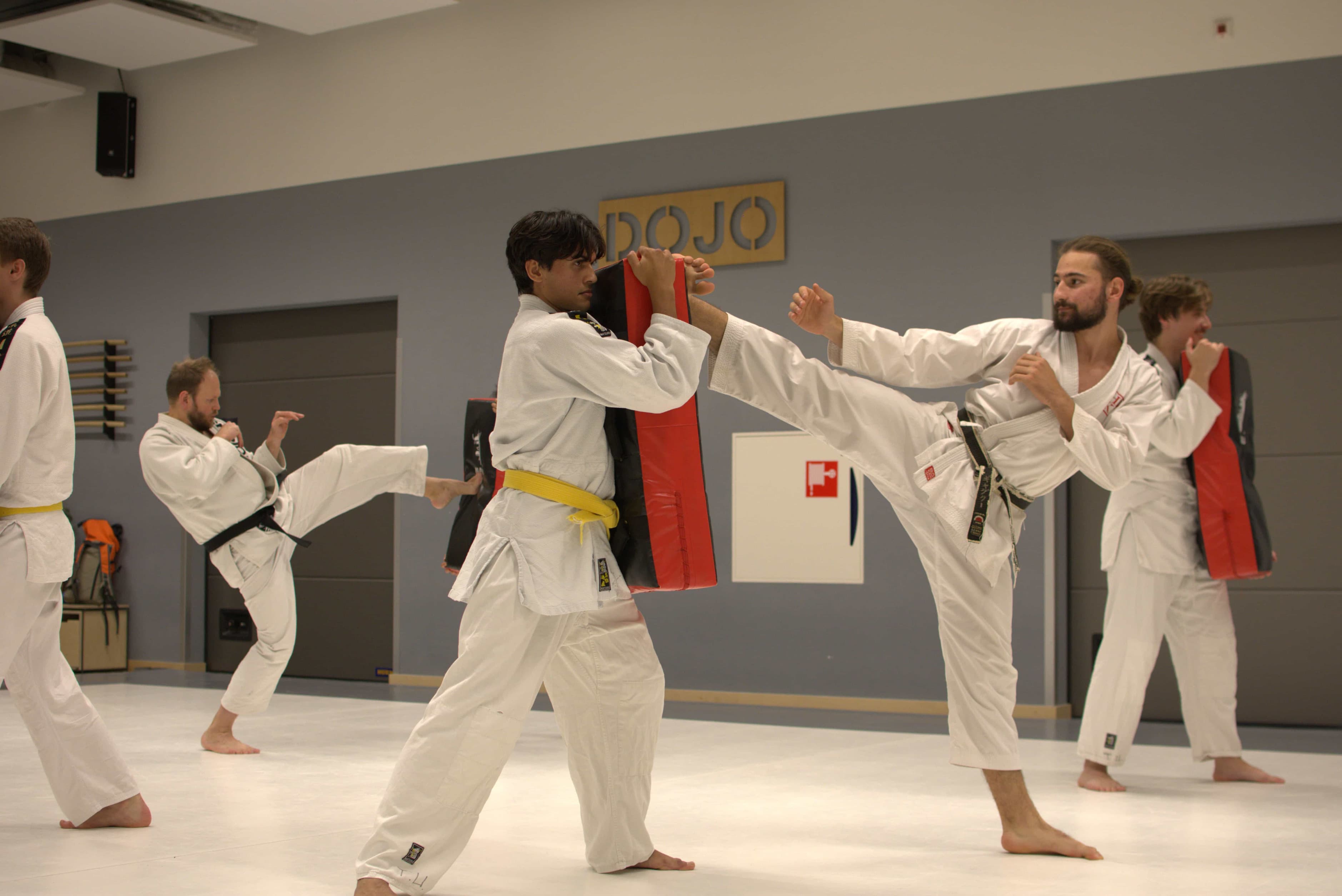 Yoroshi members practising karate